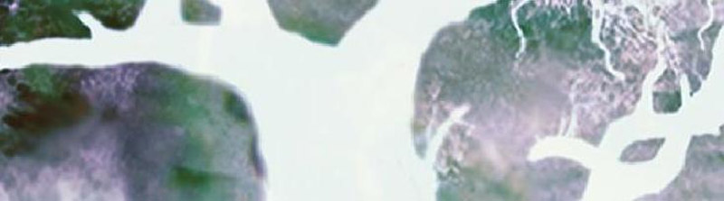 全幅ページの画像